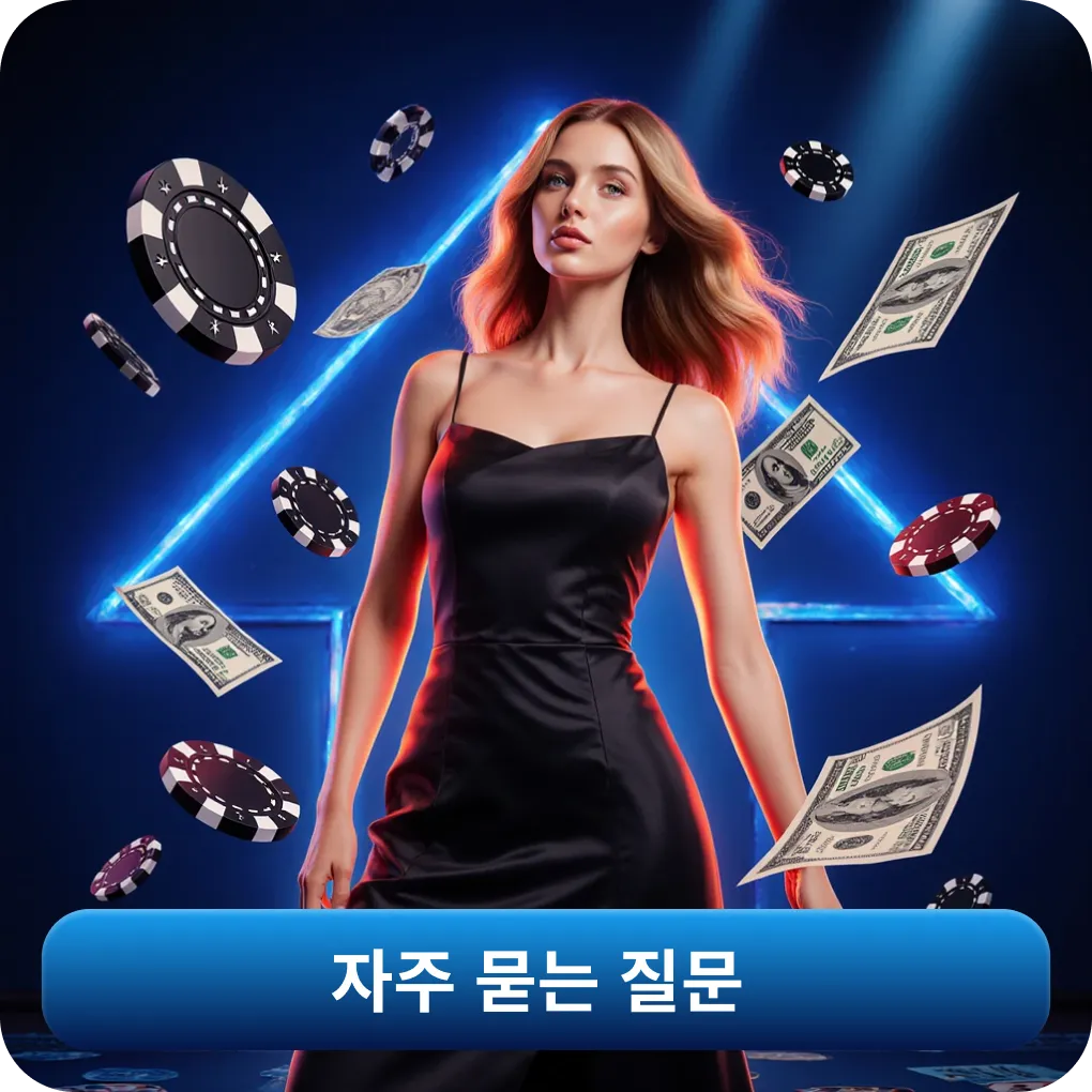 자주 묻는 질문