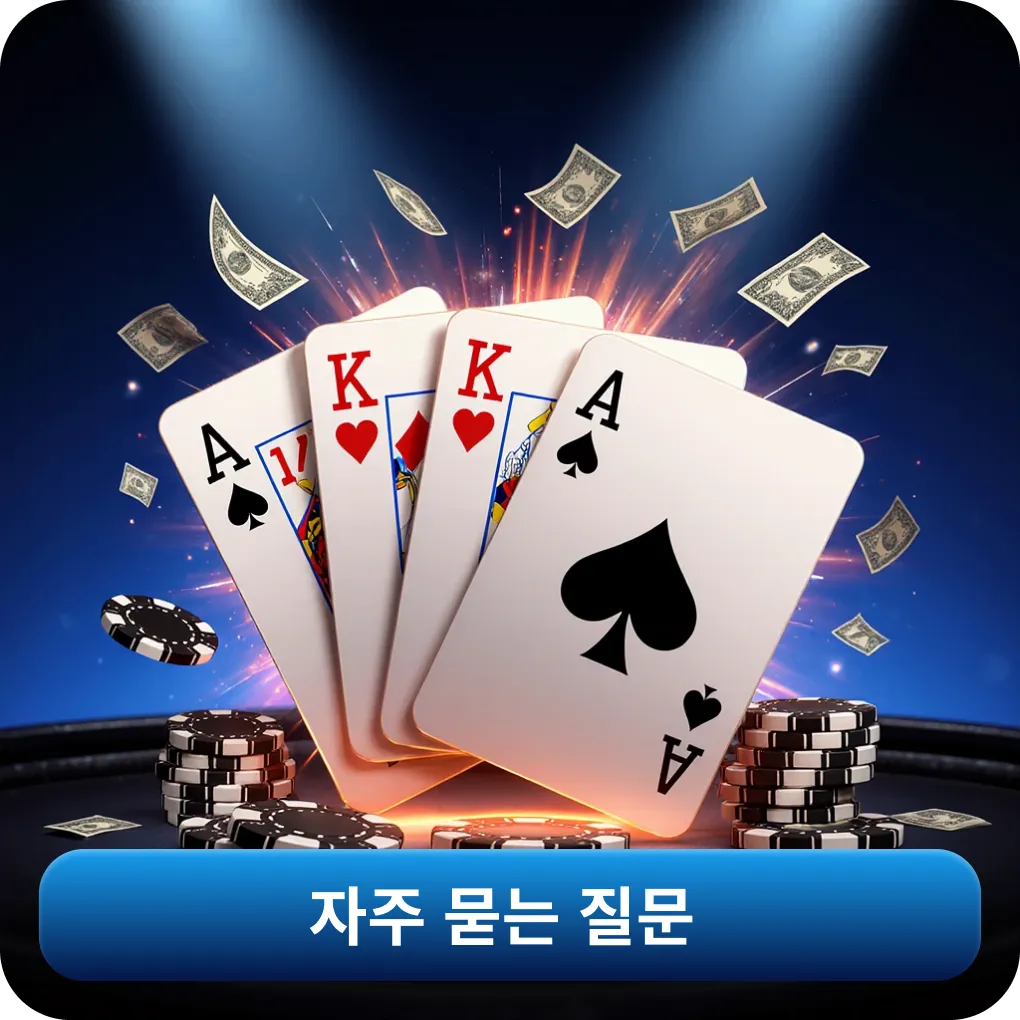 자주 묻는 질문